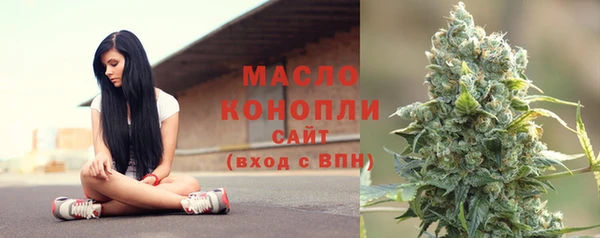 дмт Богородицк