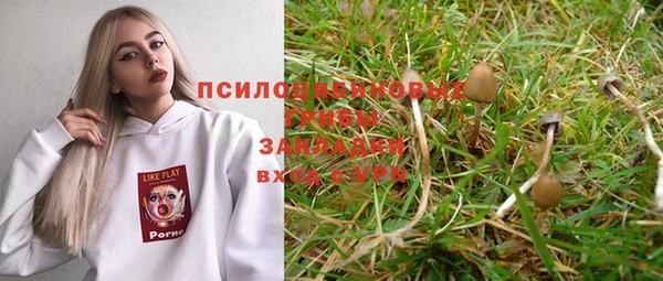 прущие крисы Богданович