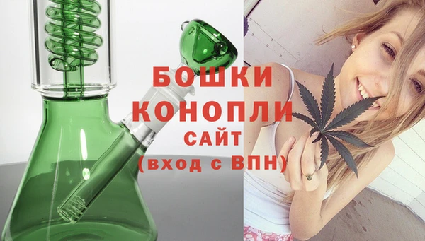 дмт Богородицк