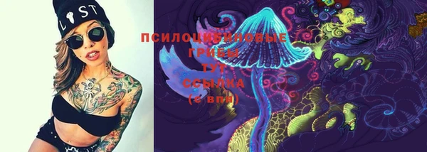прущие крисы Богданович