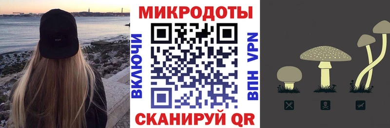 Псилоцибиновые грибы Psilocybine cubensis  Буйнакск 